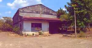 BDO Foreclosed FARM - VACANT LOT: Lot 4447-E, Brgy. Road Magsaysay, Naguilian, Isabela  For Sale