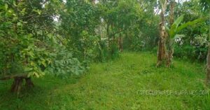 BDO Foreclosed RESIDENTIAL - VACANT LOT: Lot No. 3, Unnamed Brgy. Road, Brgy. San Marcos (Tikiw), San Pablo City, Laguna  For Sale