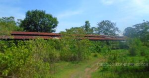BDO Foreclosed RESIDENTIAL - VACANT LOT: Lot 10516-B-2, Brgy. Road, Brgy. Magsaysay, Naguilian, Isabela (Residential / Agricultural)  For Sale