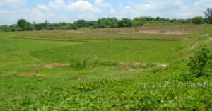 BDO Foreclosed RESIDENTIAL - VACANT LOT: Lot 4893-B (Psd-215660), Brgy. San Agustin, Gerona, Tarlac (Interior)  For Sale