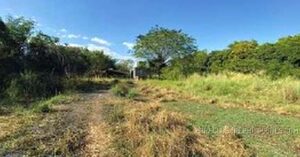 BDO Foreclosed FARM - VACANT LOT: Lot 1407-F, Brgy. Domanpot, Asingan, Pangasinan  For Sale
