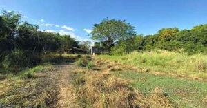 BDO Foreclosed FARM - VACANT LOT: Lot 1407-C, Brgy. Domanpot, Asingan, Pangasinan  For Sale