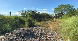 BDO Foreclosed FARM - VACANT LOT: Lot 1407-E, Brgy. Domanpot, Asingan, Pangasinan  For Sale