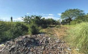 r 2024000567