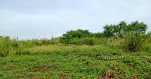 BDO Foreclosed INDUSTRIAL - VACANT LOT: Lot 2934-L-14-B, Gateway Business Park, Brgy. Javalera, Gen. Trias, Cavite  For Sale