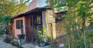 BDO Foreclosed RESIDENTIAL - HOUSE AND LOT: Lot 17, Block 10, Pampano St., Bonuan Blue Beach Subdivision, Brgy. Bonuan Boquig / Bonuan Gueset, Dagupan City, Pangasinan  For Sale