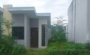 r 2024001180