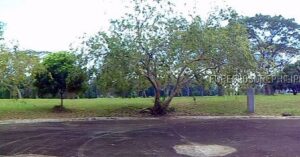 BDO Foreclosed RESIDENTIAL - VACANT LOT: Lot 46 Block 11, Pine St., Belle Reve Subdivision, Sta. Rosa City, Laguna  For Sale