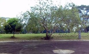 r 2024001216