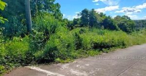 BDO Foreclosed RESIDENTIAL - VACANT LOT: Lot 5, Block 71, Limber Pine St., Eastland Heights (formerly Forest Hills Golf & Residential Estates), Brgy. San Isidro / Inarawan, Antipolo City, Rizal  For Sale