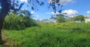 BDO Foreclosed RESIDENTIAL - VACANT LOT: Lot 6-A, Talisay Road, Greenplains Subdivision, Brgy. Pio Cruscoza, Calumpit, Bulacan  For Sale
