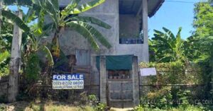 BDO Foreclosed RESIDENTIAL - HOUSE AND LOT: Lot 22, Block 2, Tesco St., Calamba Hills, Phase 1, Brgy. Majada / Mayapa, Calamba City, Laguna  For Sale