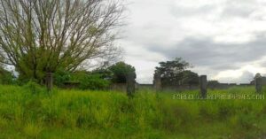 BDO Foreclosed FARM - VACANT LOT: Lot 3, PCS-03-013133, Brgy. Pulung Bulu, San Fernando City, Pampanga (Interior)  For Sale