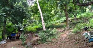 BDO Foreclosed FARM - VACANT LOT: Lot 2127, Manila East Road corner Ilaya St., Sitio Nagpatong, Brgy. San Juan, Baras, Rizal  For Sale