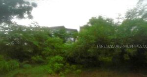 BDO Foreclosed RESIDENTIAL - VACANT LOT: Lot 17, Block 6, GC Berberabe Subdivision, Brgy. Pallocan East, Batangas City, Batangas  For Sale