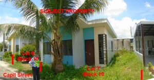 BDO Foreclosed RESIDENTIAL - HOUSE AND LOT: Lot 6, Block 10, Capil Street, Amaia Scapes Capas, Brgy. Estrada, Capas, Tarlac  For Sale