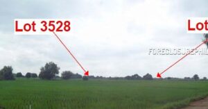BDO Foreclosed FARM - VACANT LOT: Lot 3587, Brgy. San Vicente, Victoria, Tarlac (No Possession) (Occupied) For Sale