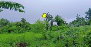 BDO Foreclosed RESIDENTIAL - VACANT LOT: Lot 4-D, Rodland Subdivision, Brgy. Sta. Clara, Santa Maria, Bulacan  For Sale
