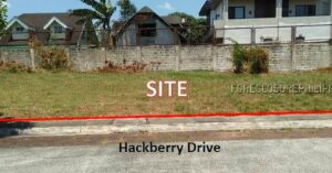 BDO Foreclosed RESIDENTIAL - VACANT LOT: Lot 14, Blk. 8, Hackberry Drive, Solen Residences, Phase 1, Brgy. Don Jose, Santa Rosa City, Laguna  For Sale