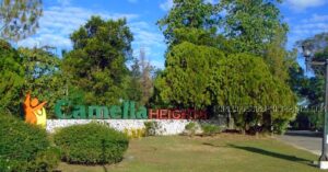 BDO Foreclosed RESIDENTIAL - HOUSE AND LOT: Lot 17, Wedgewood Subdivision, Santa Barbara, Pangasinan  For Sale