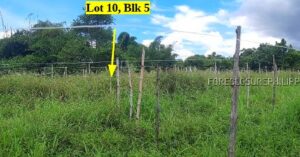 BDO Foreclosed RESIDENTIAL - VACANT LOT: Lot 10, Blk. 5, Road Lot 4, Don Pepe's Farm Subdivision, Brgy. Pacol, Naga City, Camarines Sur  For Sale