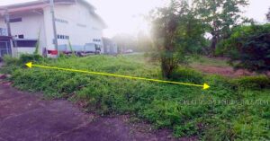BDO Foreclosed RESIDENTIAL - VACANT LOT: Lot 4, Block 26, Road Lot 12 corner Road Lot 22, Woodside Village Residential Estate, Brgy. Minante Dos, Cauayan City, Isabela  For Sale