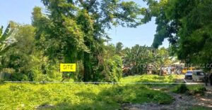 BDO Foreclosed INDUSTRIAL- VACANT LOT: Plan F (VI-1) 3535-B-D, Baha Baha St., Brgy. Tayud, Consolacion, Cebu (Pending Consolidated Title, No TD in Bank's Name, No Possession) (Occupied) For Sale