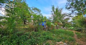 BDO Foreclosed RESIDENTIAL - VACANT LOT: Lot 25, Block 11, Sugarland Country Homes, Phase 2, Lumbo, Valencia City, Bukidnon (No Possession) (Unfinished Subdivision) (Occupied) For Sale