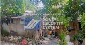 SSS Foreclosed Property: Lot 17 Block 14 Florenceville Subdivision, Brgy. Pahanocoy, Bacolod City, Negros   Occidental (Lot only)