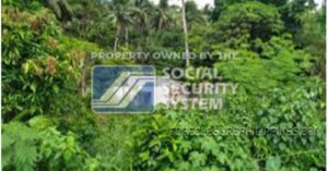 SSS Foreclosed Property: Lot 1959 National Highway, Brgy. Bacolod, Juban, Sorsogon (Remnant of Residential Building)