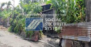 SSS Foreclosed Property: Lot 31 Block 8 Remedios Street, Canetown Subdivision, Phase 1, Brgy. 19- A, Victorias City, Negros Occidental (Residential Bungalow)