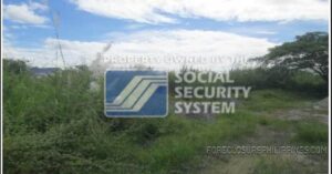 SSS Foreclosed Property: Lot 8 Block 4, Brgy. Lourdes (formerly San Roque), Bamban, Tarlac (Lot only)