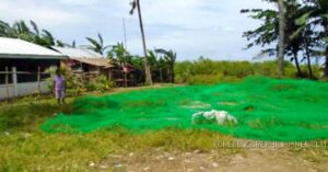 700+ BDO Foreclosed Properties For Sale in June 2026 Nationwide List 9 BDO Foreclosed AGRICULTURAL - VACANT LOT: Lot 459, Brgy. Binaobaoan, Pilar, Capiz (Interior) For Sale
