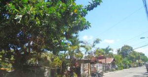 700+ BDO Foreclosed Properties For Sale in June 2026 Nationwide List 8 BDO Foreclosed RESIDENTIAL - VACANT LOT: Lot 528-C-3-B, Don Emilio Gaston St., Brgy. Mambulac, Silay City, Negros Occidental (No possession / Occupied by informal settlers) (Occupied) For Sale