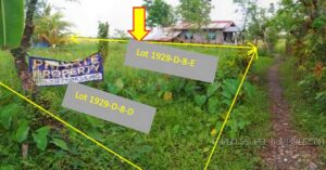 700+ BDO Foreclosed Properties For Sale in June 2026 Nationwide List 14 BDO Foreclosed RESIDENTIAL - VACANT LOT: Lot 192-D-8-D, Brgy. Camansi, Kabankalan City, Negros Occidental For Sale