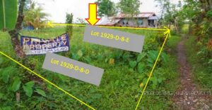700+ BDO Foreclosed Properties For Sale in June 2026 Nationwide List 15 BDO Foreclosed RESIDENTIAL - VACANT LOT: Lot 192-D-8-E, Brgy. Camansi, Kabankalan City, Negros Occidental For Sale