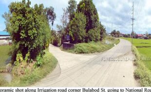 valino pictures 1