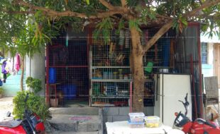 fil1520190430495