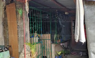 fil1520200204126