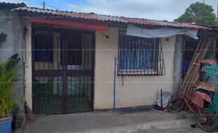 fil1520200218092