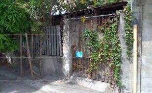 fil1520200218105