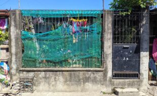 fil1520200305423