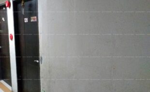 fil1520200727255