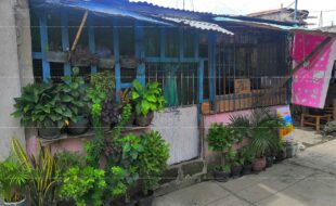 fil1520200804073