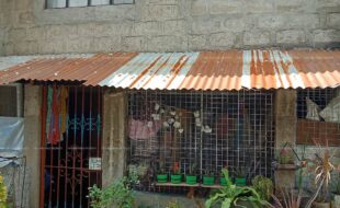 fil1520200822640