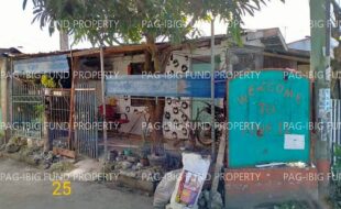 fil1520210115366