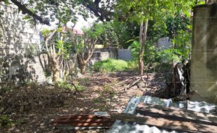 fil1520210121373
