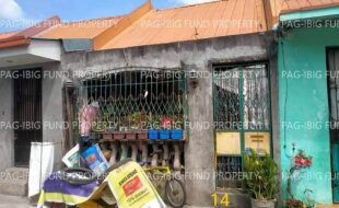 fil1520210312474