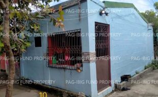 fil1520210618086