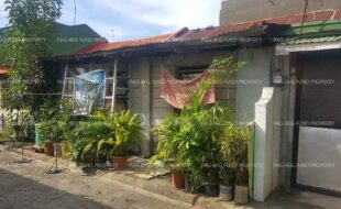 fil1520211122062